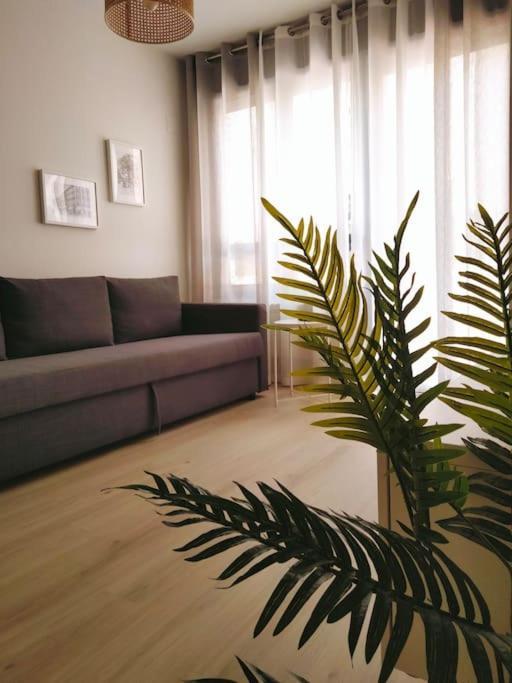 Apartmán La Terraza De La Vega - Ubicacion Inmejorable , Wifi , Terraza Y Parking Gratuito Oviedo Exteriér fotografie