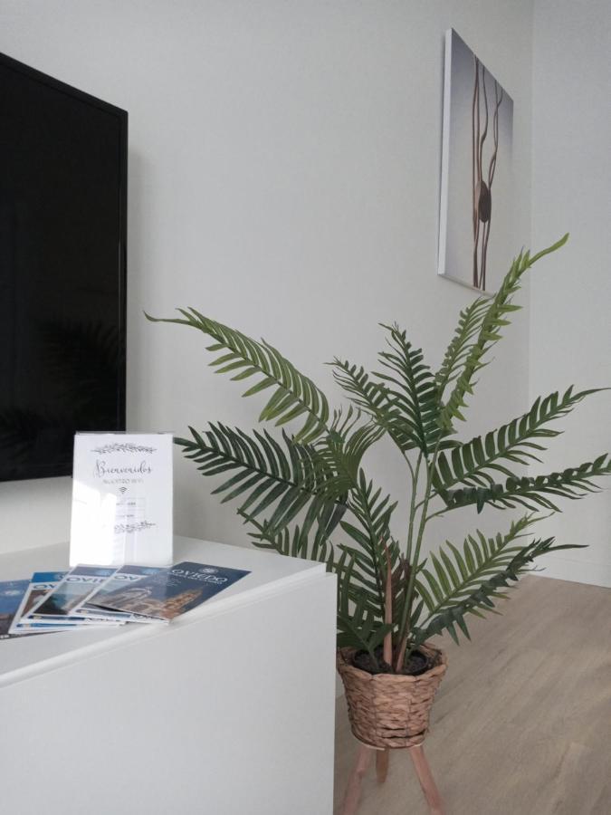 Apartmán La Terraza De La Vega - Ubicacion Inmejorable , Wifi , Terraza Y Parking Gratuito Oviedo Exteriér fotografie