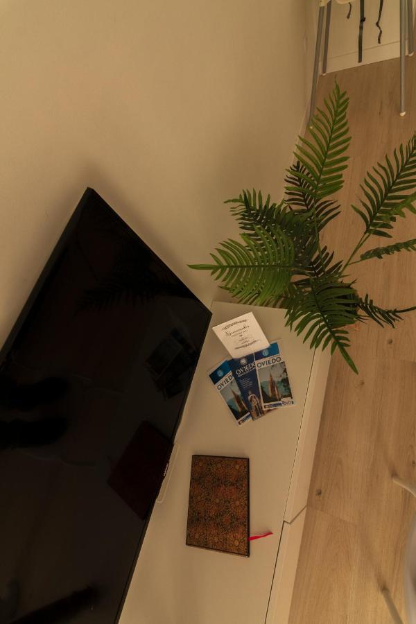 Apartmán La Terraza De La Vega - Ubicacion Inmejorable , Wifi , Terraza Y Parking Gratuito Oviedo Exteriér fotografie
