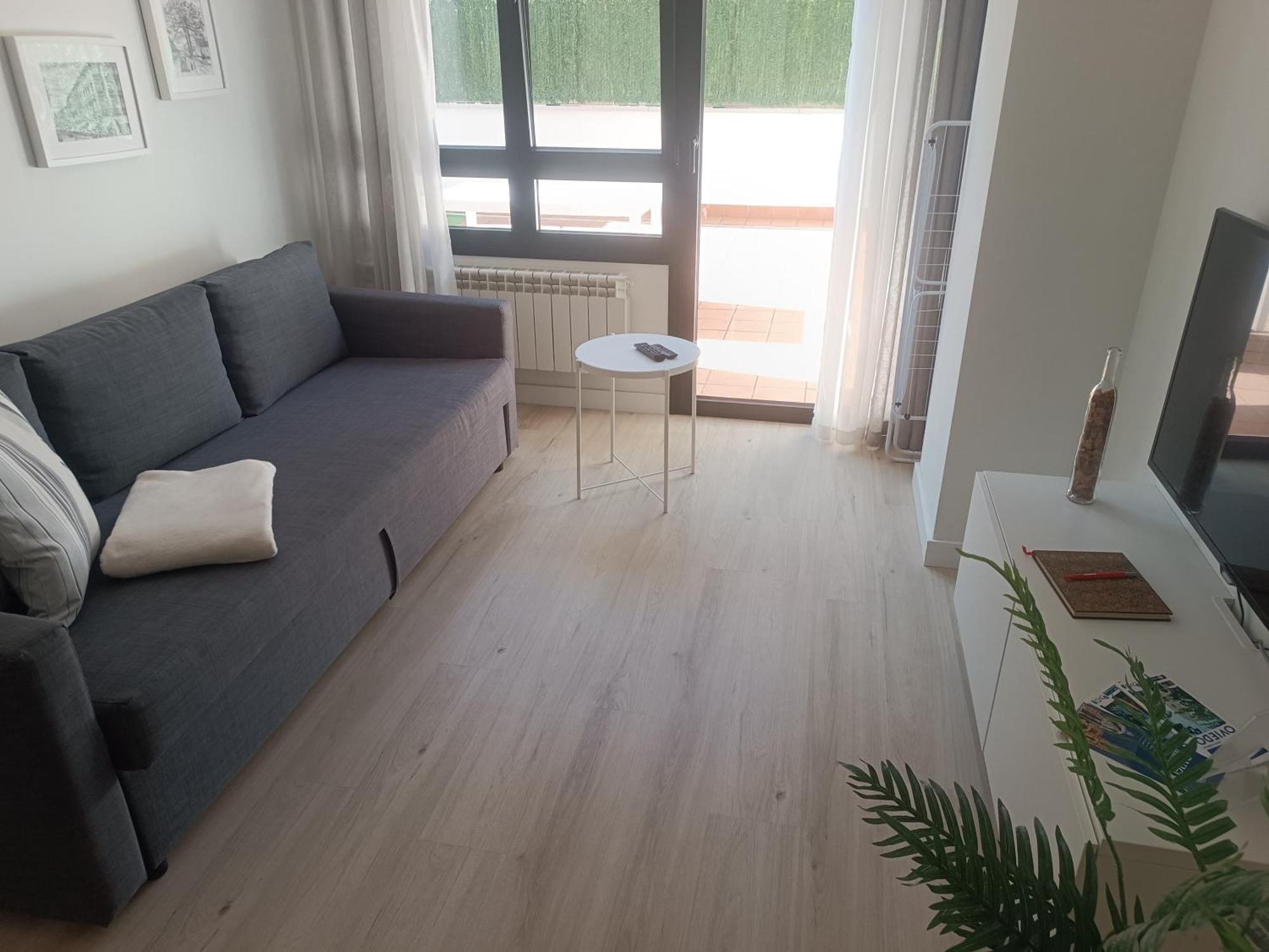 Apartmán La Terraza De La Vega - Ubicacion Inmejorable , Wifi , Terraza Y Parking Gratuito Oviedo Exteriér fotografie